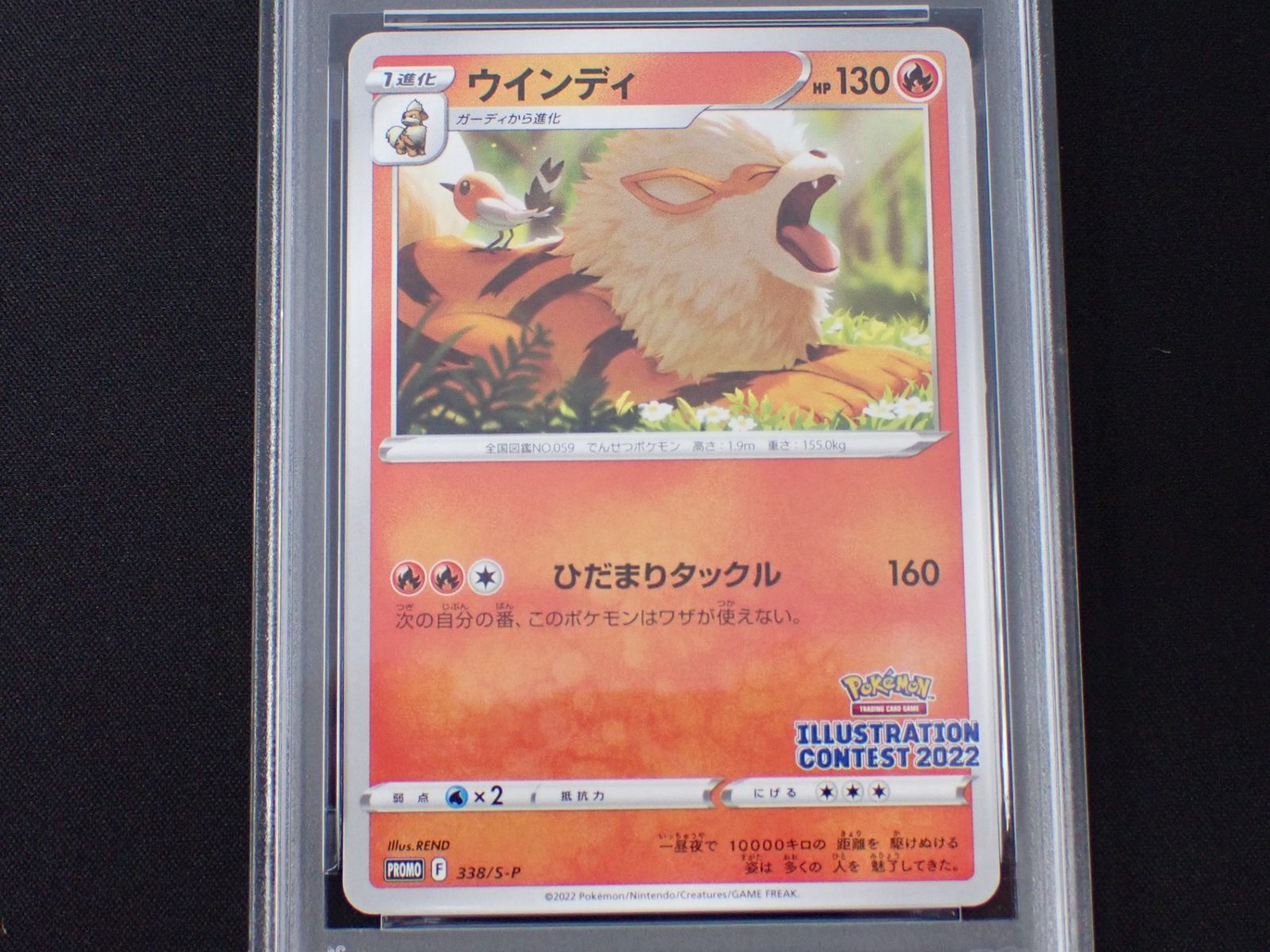 PSA10 フシギダネ ウィンディ ゲッコウガ 3連番 イラストレーション