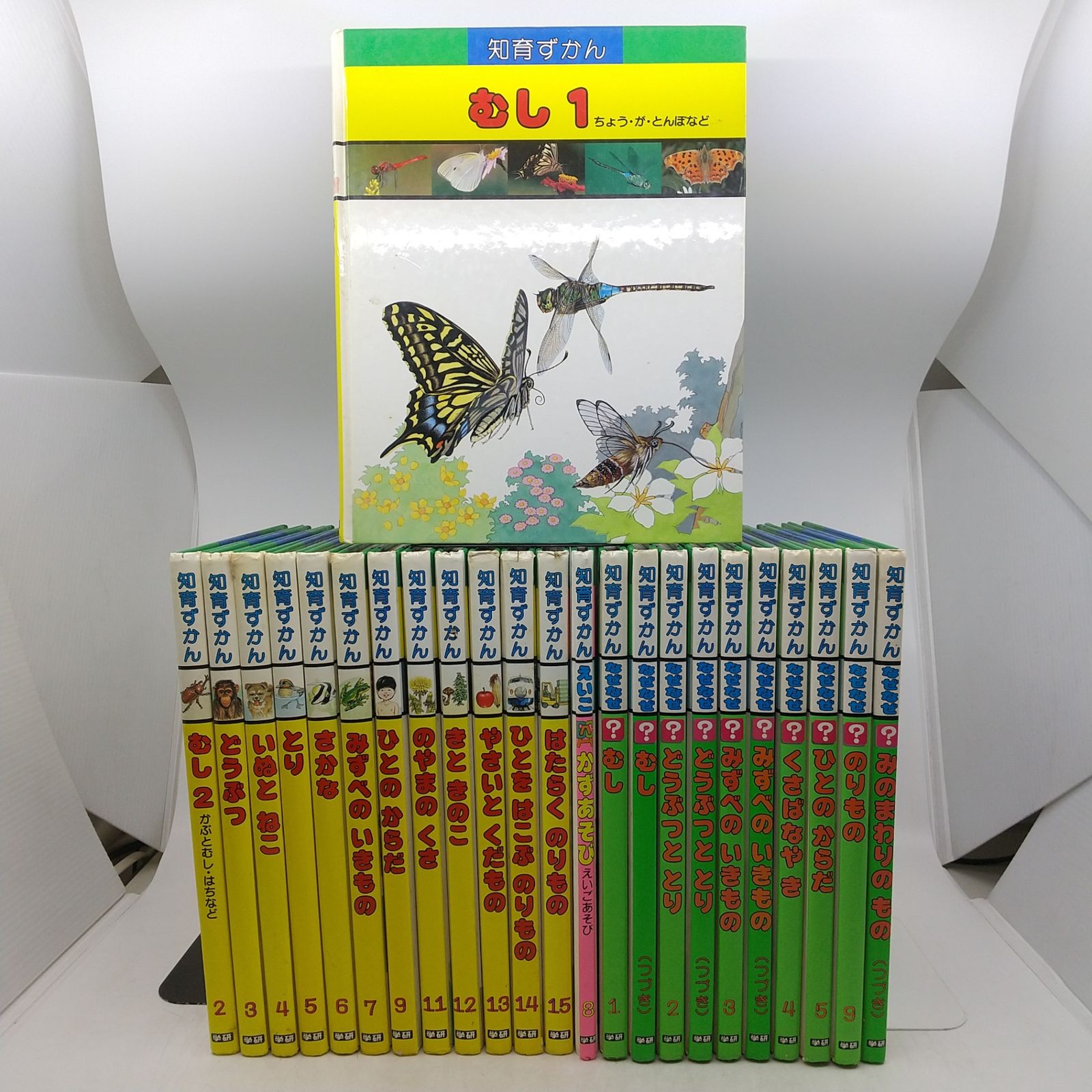 エイ　10冊まとめ売り まとめ売り】知育ずかんシリーズ 24冊まとめ売り 知育ずかん 知育ず