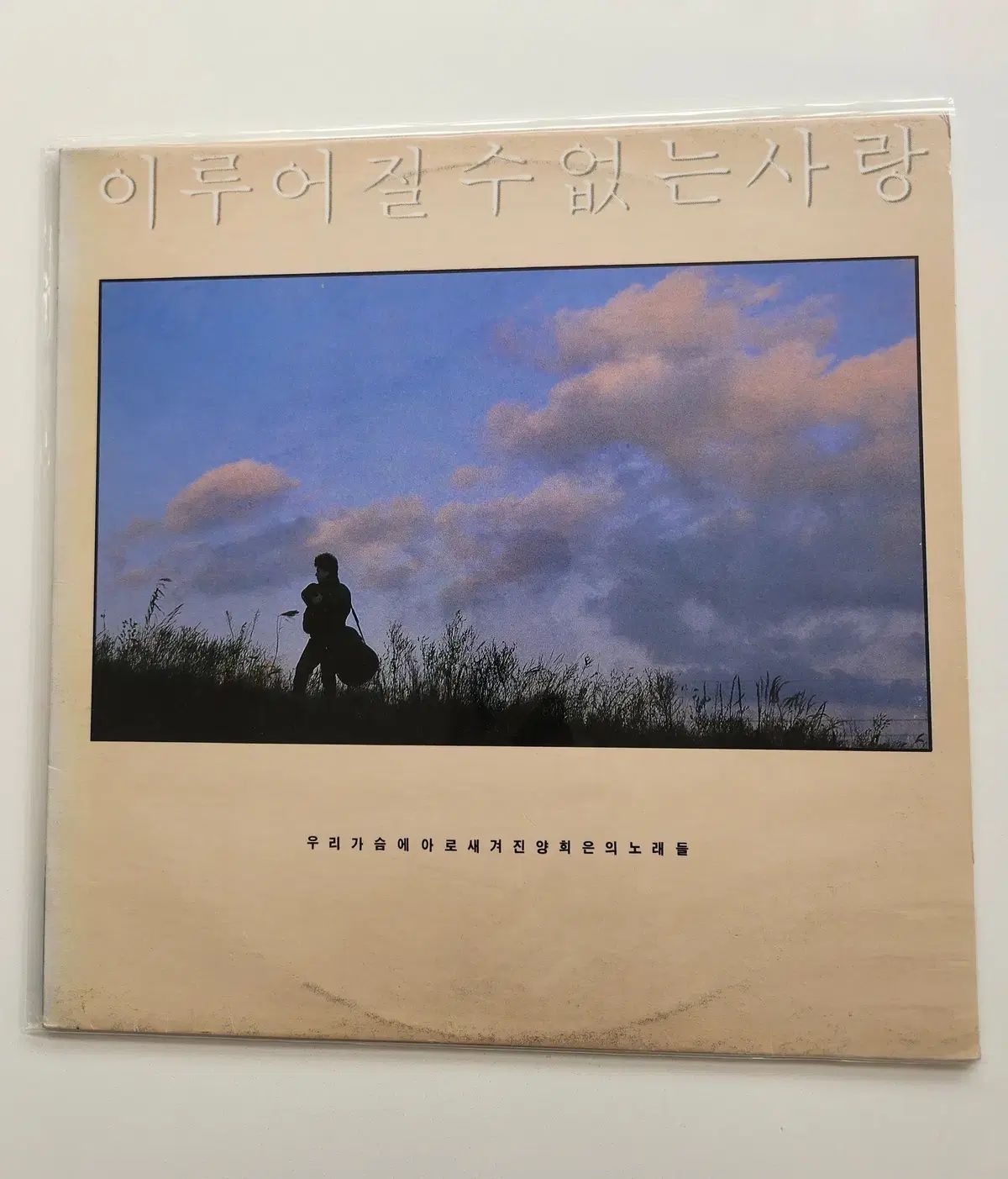 ヤン・ヒウン（叶うことのできない愛） LP ／ NM +