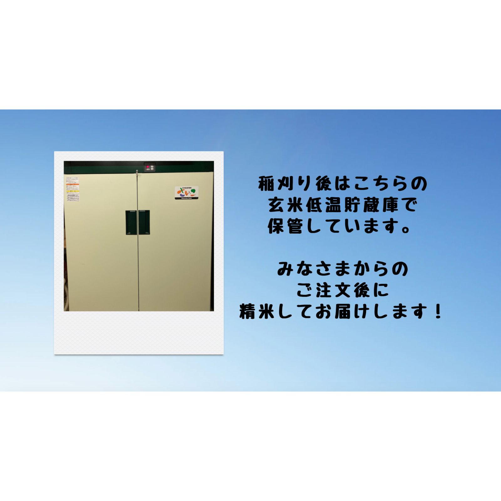 注文後精米】青森県産 はれわたり 無洗米 29kg - メルカリ