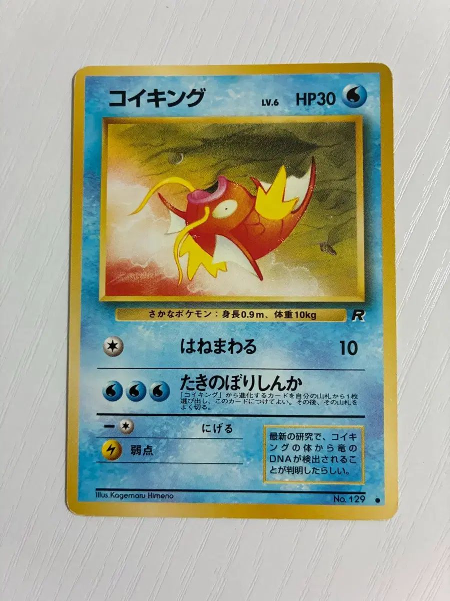 ポケモンカード 初期 鯉キング