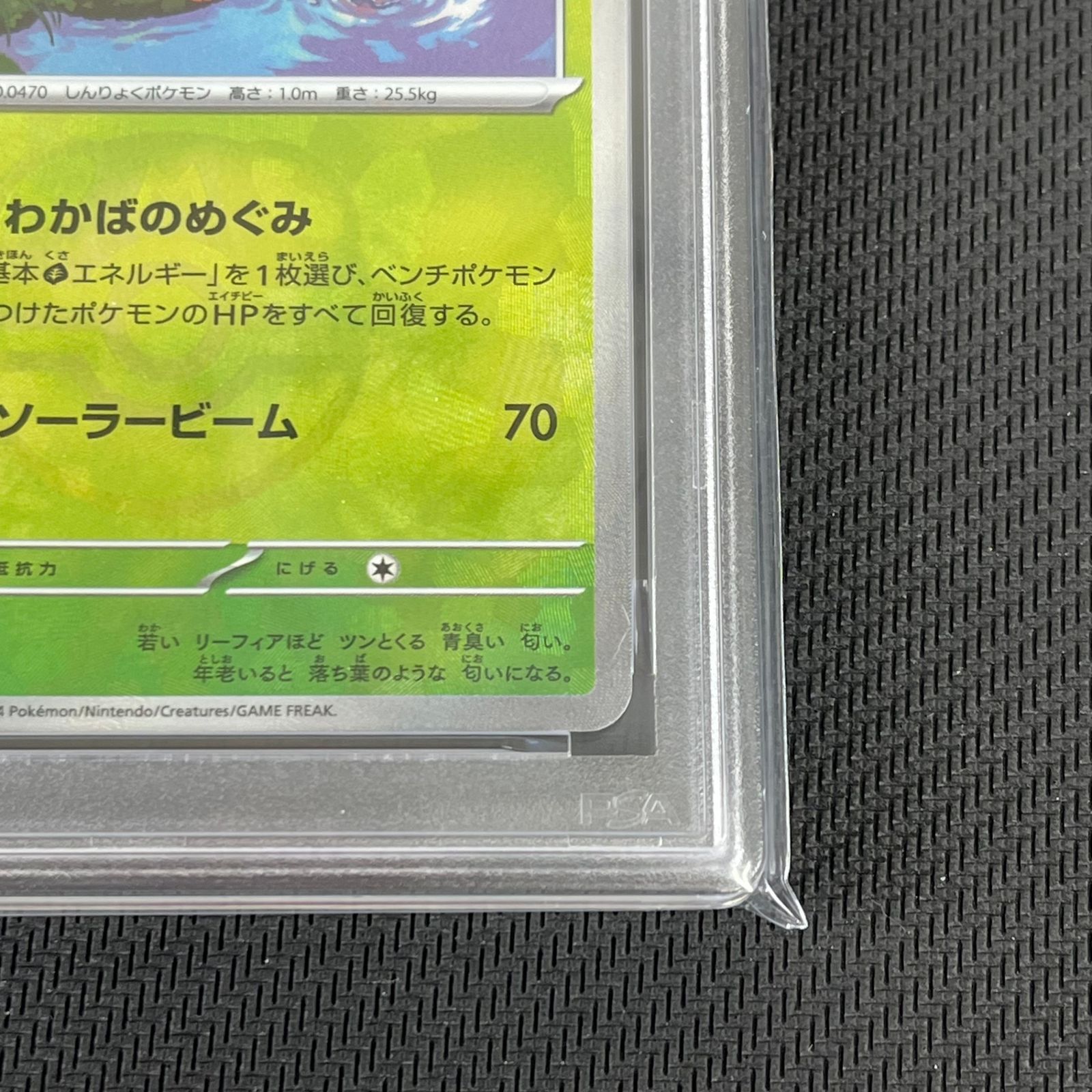PSA10 ポケカ リーフィア マスターボール マスボミラー 002/187/SV8A
