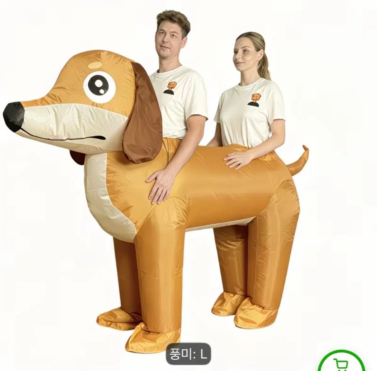 卒業写真 犬 エアジーンシュー