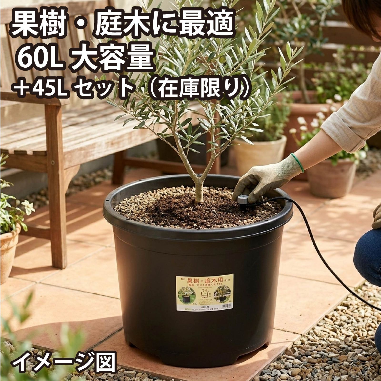 菊水 大型タイプ 実生 鉢植え メルカリ便送料込み 在庫限り1セット！】60L＋45Lセット 果樹・庭木用 大型ポット お得
