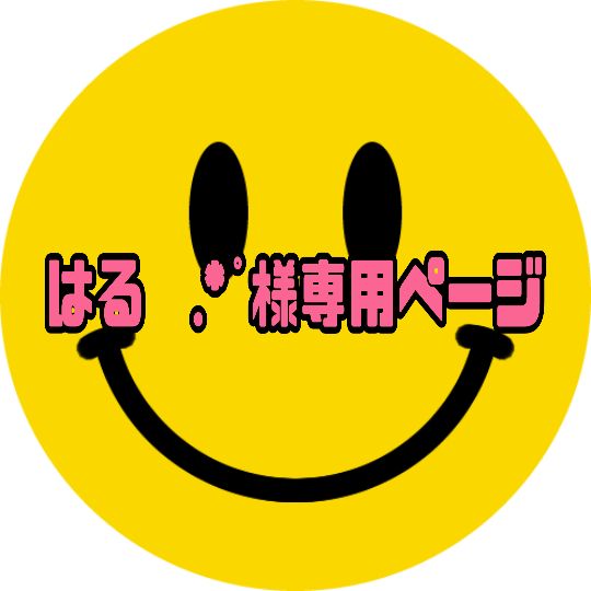 はる✩.*˚様専用ページ