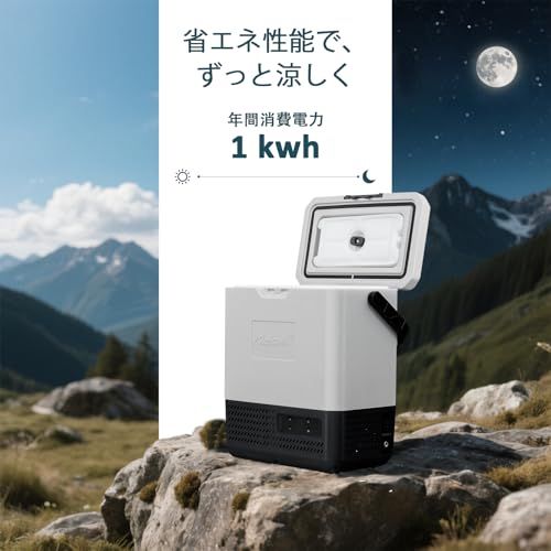 Alpicool ポータブル冷蔵庫 車載冷蔵庫 車載冷蔵冷凍庫 P8 8L 8リットル -20℃?20℃ コンプレッサー式 急速冷凍 AC100V DC12V/24V コンパクト 軽量 持ち運び便利 静音 45W 省エネ 車載家庭両用 アウトドア 車中泊 キャ