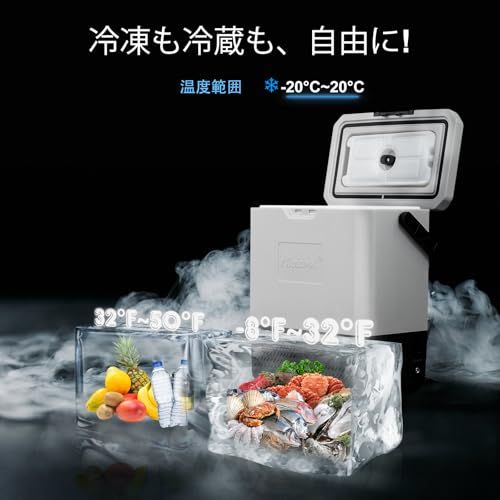 Alpicool ポータブル冷蔵庫 車載冷蔵庫 車載冷蔵冷凍庫 P8 8L 8リットル -20℃?20℃ コンプレッサー式 急速冷凍 AC100V DC12V/24V コンパクト 軽量 持ち運び便利 静音 45W 省エネ 車載家庭両用 アウトドア 車中泊 キャ
