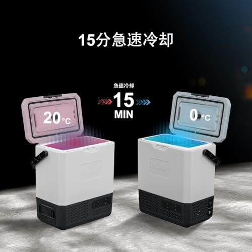 Alpicool ポータブル冷蔵庫 車載冷蔵庫 車載冷蔵冷凍庫 P8 8L 8リットル -20℃?20℃ コンプレッサー式 急速冷凍 AC100V DC12V/24V コンパクト 軽量 持ち運び便利 静音 45W 省エネ 車載家庭両用 アウトドア 車中泊 キャ