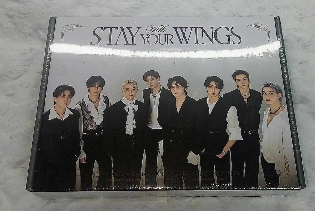 STAY Stray Kids(ストレイキッズ・スキズ・SKZ) キット 6期 未開封