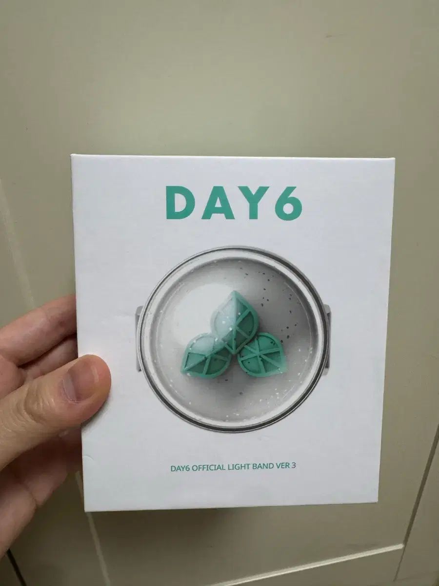 DAY6 OFFICIAL LIGHT BAND Day6 ペンライト3