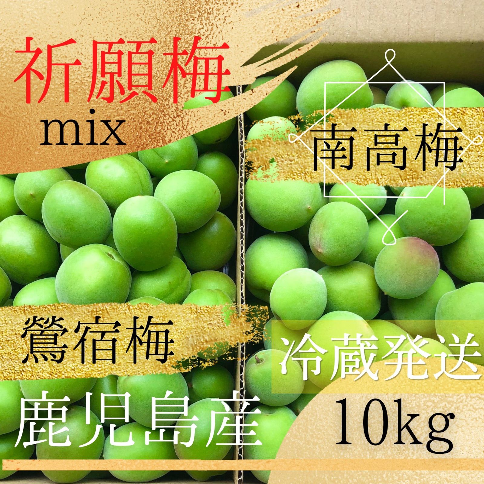 農薬不使用】南高梅&鶯宿梅10kg 鹿児島産 冷蔵発送 - メルカリ