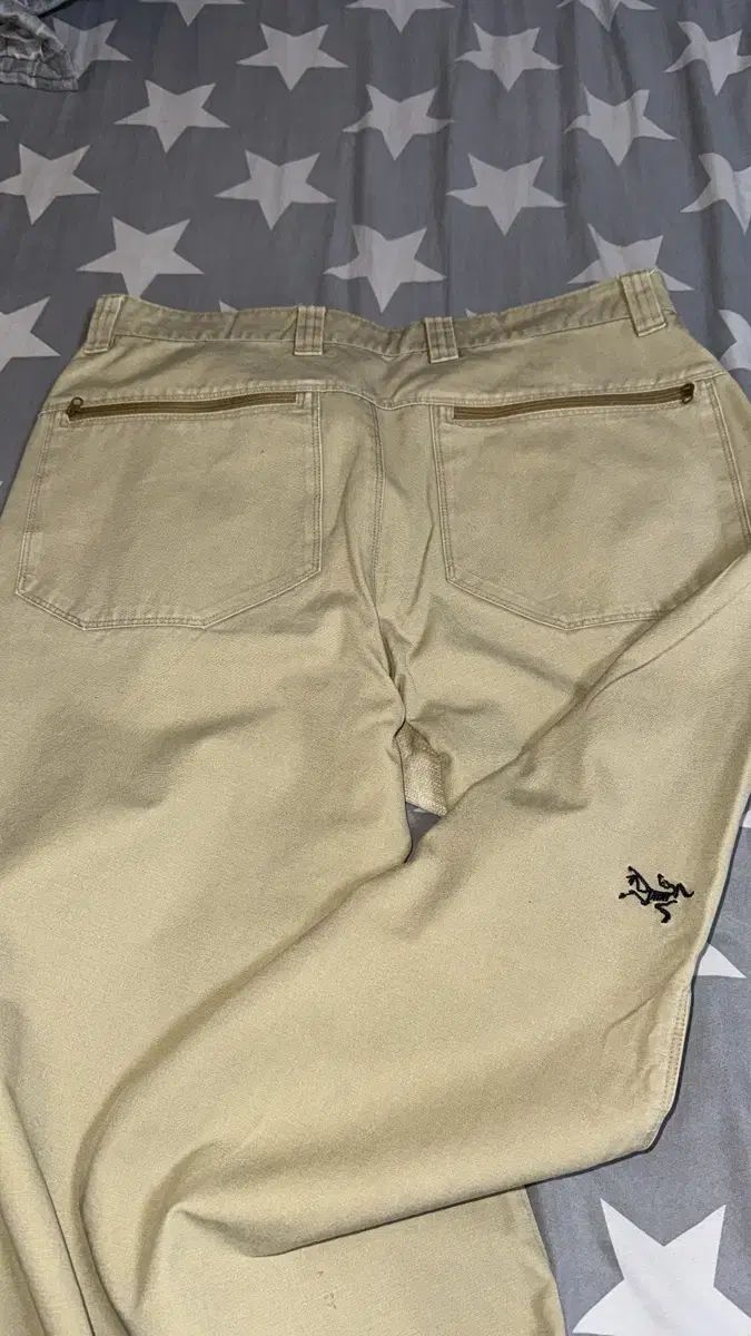ARC'TERYX アークテリクス ベージュ コットン パンツ