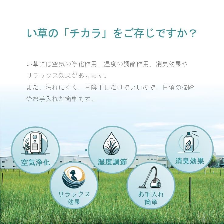 約340×340cm] 上敷き い草ラグ 城山 ヒバ 団地間8畳 日本製 国産い草