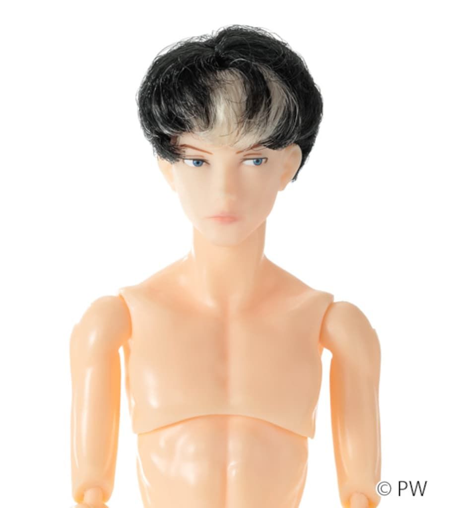 ★新品★ペットワークス 六分の一男子図鑑 ナイン B2403