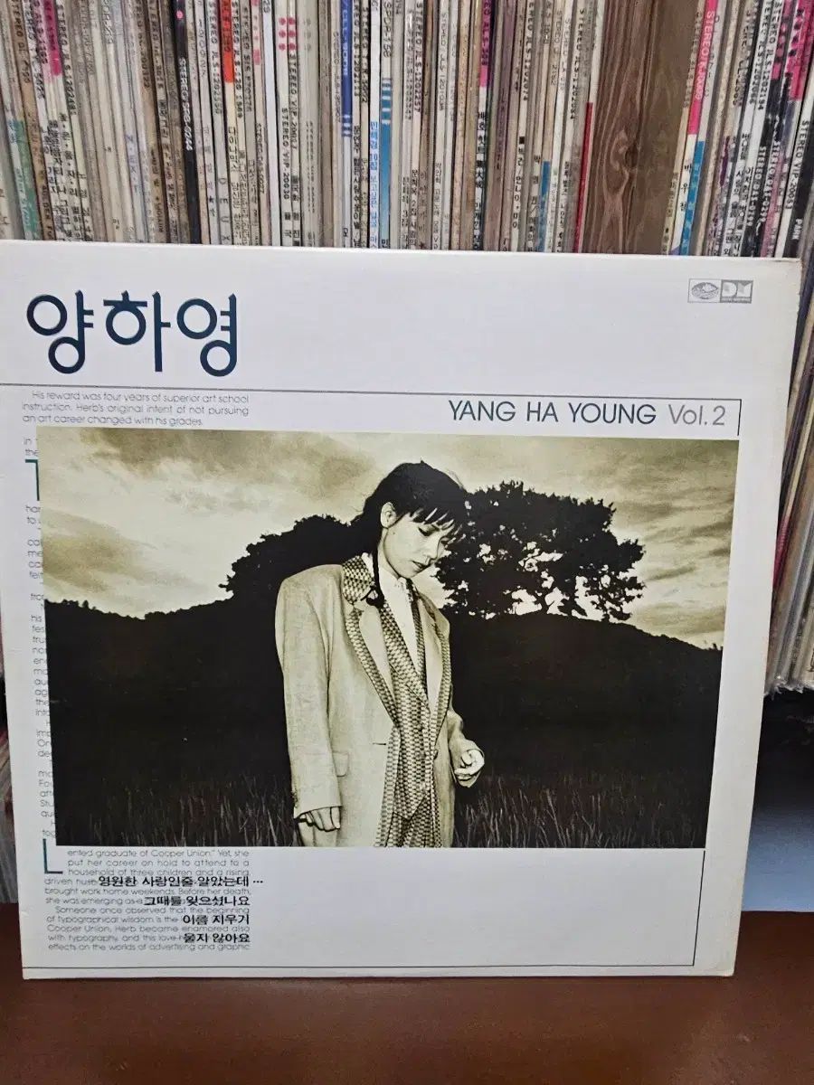 ヤン・ハヨン 2 家 LP 記録