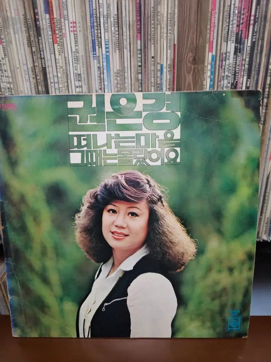 クォン・ウンギョン 去る 心 LP CD