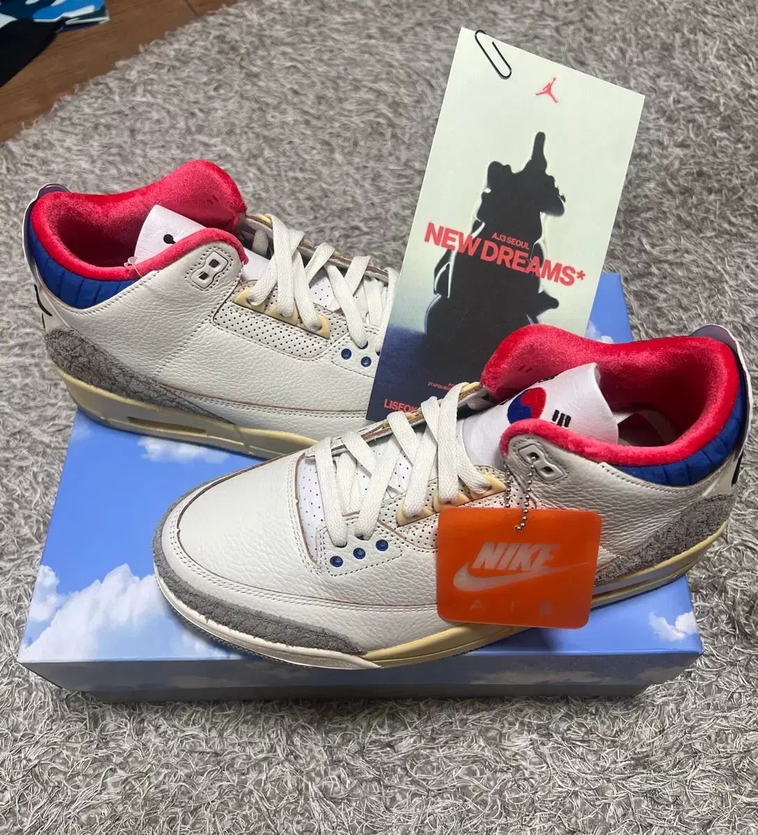 NIKE ジョーダン3 レトロ ローソウル 2 0 270 (新品)