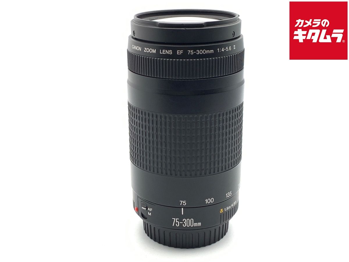 【中古】 【難あり品】 キヤノン EF 75-300mm F4-5.6 II
