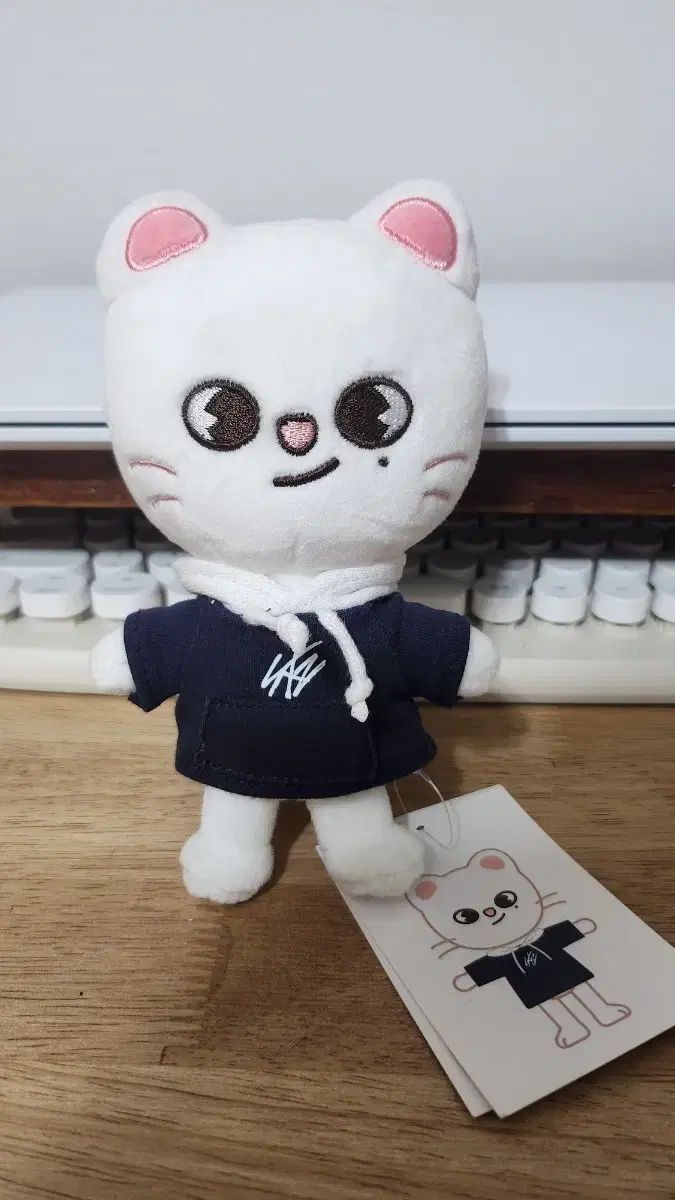Stray Kids(ストレイキッズ・スキズ・SKZ) ジニレット ぬいぐるみ