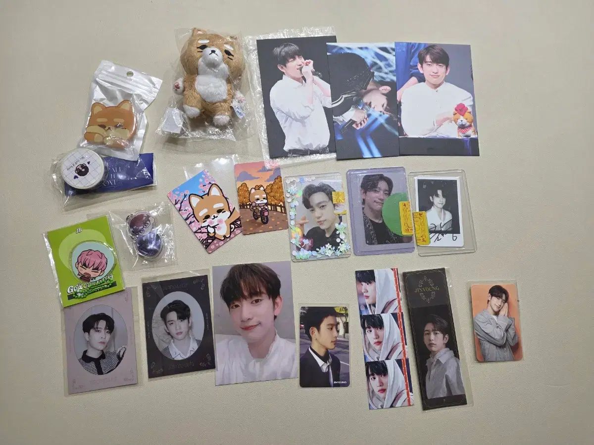 GOT7（ガットセブン）ジニョン(JINYOUNG) ぬいぐるみ トレカ グリップトック 非公式グッズ他 まとめ売り