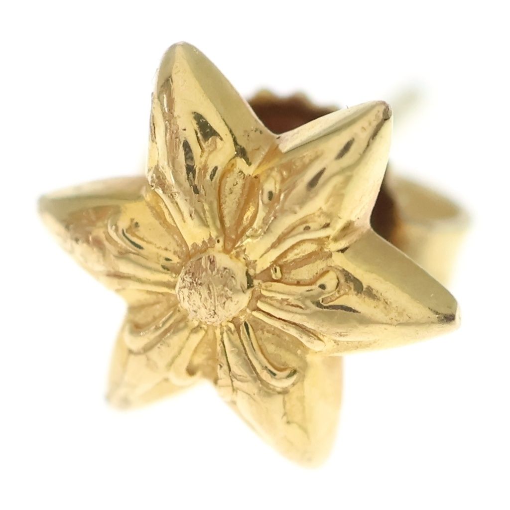 CHROME HEARTS (クロムハーツ) 22K CO STAR スタースタッド ピアス ゴールド