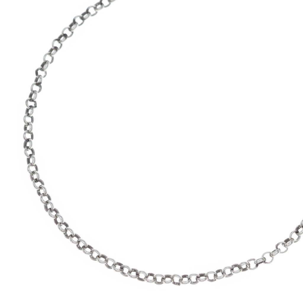 CHROME HEARTS (クロムハーツ) NECKCHAIN R16 ロールチェーンネックレス 16inch シルバー BCA082