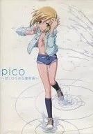 【中古】 pico ぼくの小さな夏物語 [レンタル落ち] [DVD]