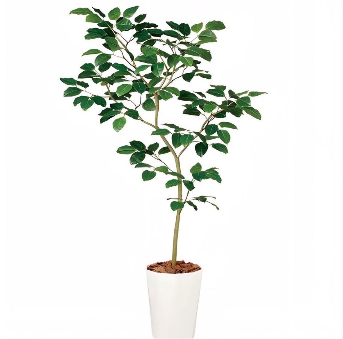 光触媒 人工観葉植物 ウォールグリーン フェイクグリーン ベンガル