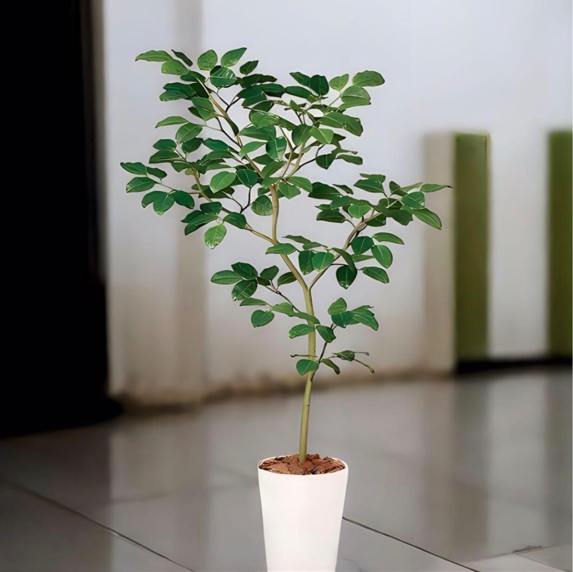 光触媒 人工観葉植物 ウォールグリーン フェイクグリーン ベンガル