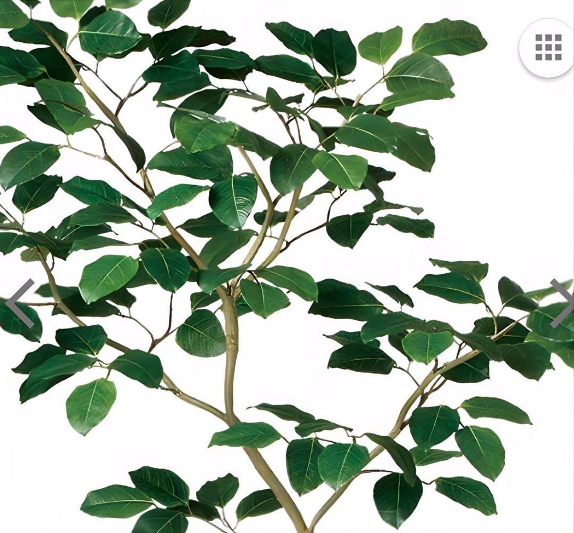 光触媒 人工観葉植物 ウォールグリーン フェイクグリーン ベンガル