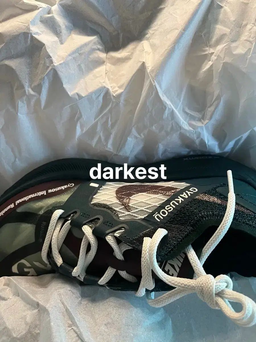 33万円 NIKE UNDERCOVER ギャクソウ ヴェイパーフライ ランニングシューズ