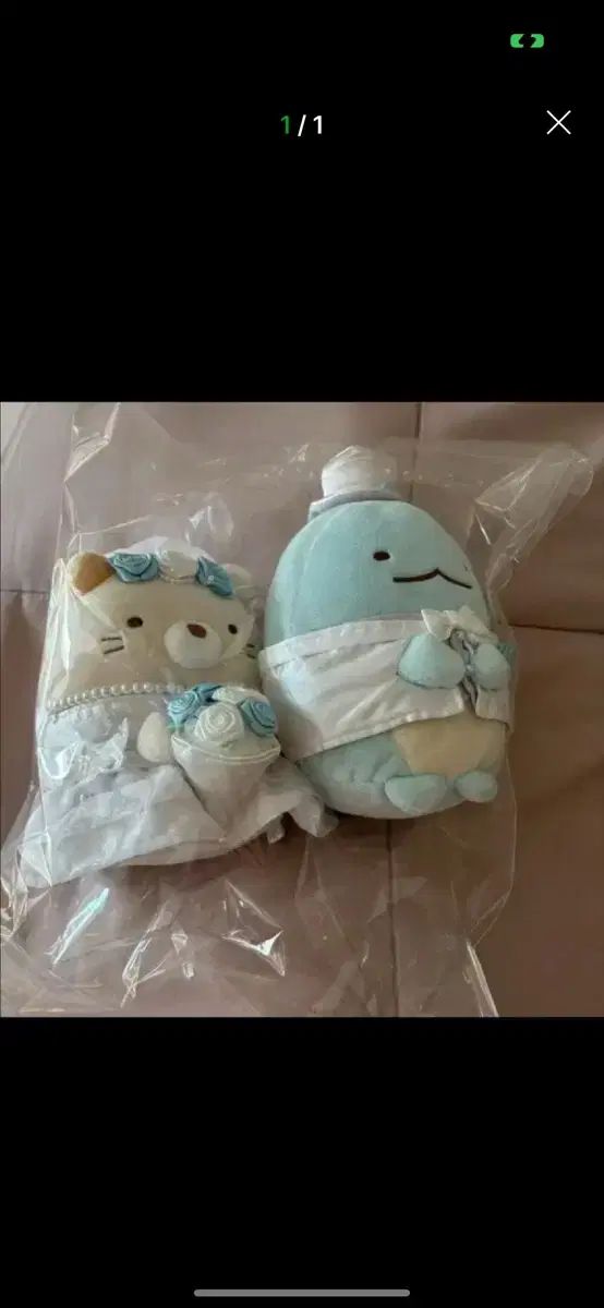 サンエックス すみっコぐらし とかげ 猫 限定 ぬいぐるみ イベント