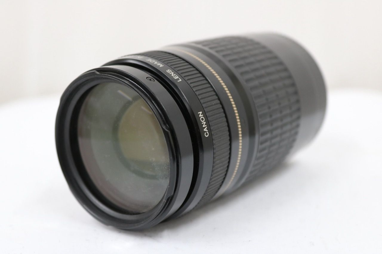 【返品保証】 キャノン Canon EF 75-300mm F4-5.6 ULTRASONIC レンズ e10790