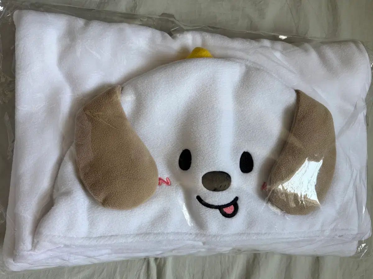 未開封)RIIZE（ライズ）アンコールコンサート アンコン MD ブランケット 멍룡이 アントン(ANTON) blanket anton