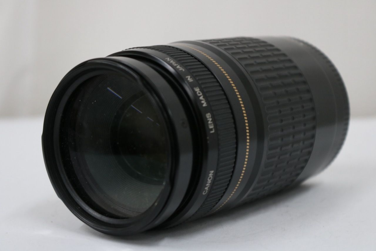 【訳あり品】 キャノン Canon EF 75-300mm F4-5.6 ULTRASONIC レンズ e10942