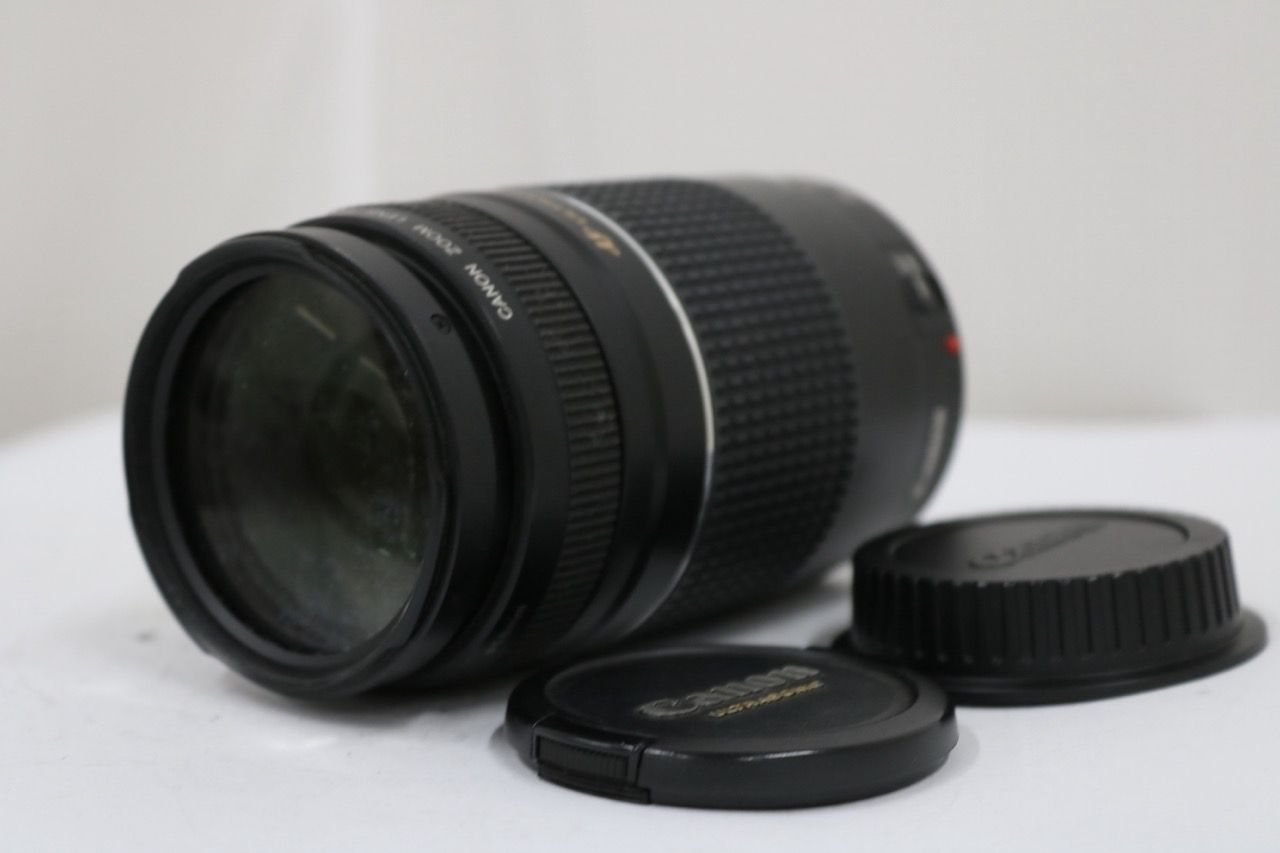 【訳あり品】 キャノン Canon EF 75-300mm F4-5.6 III USM レンズ e11212