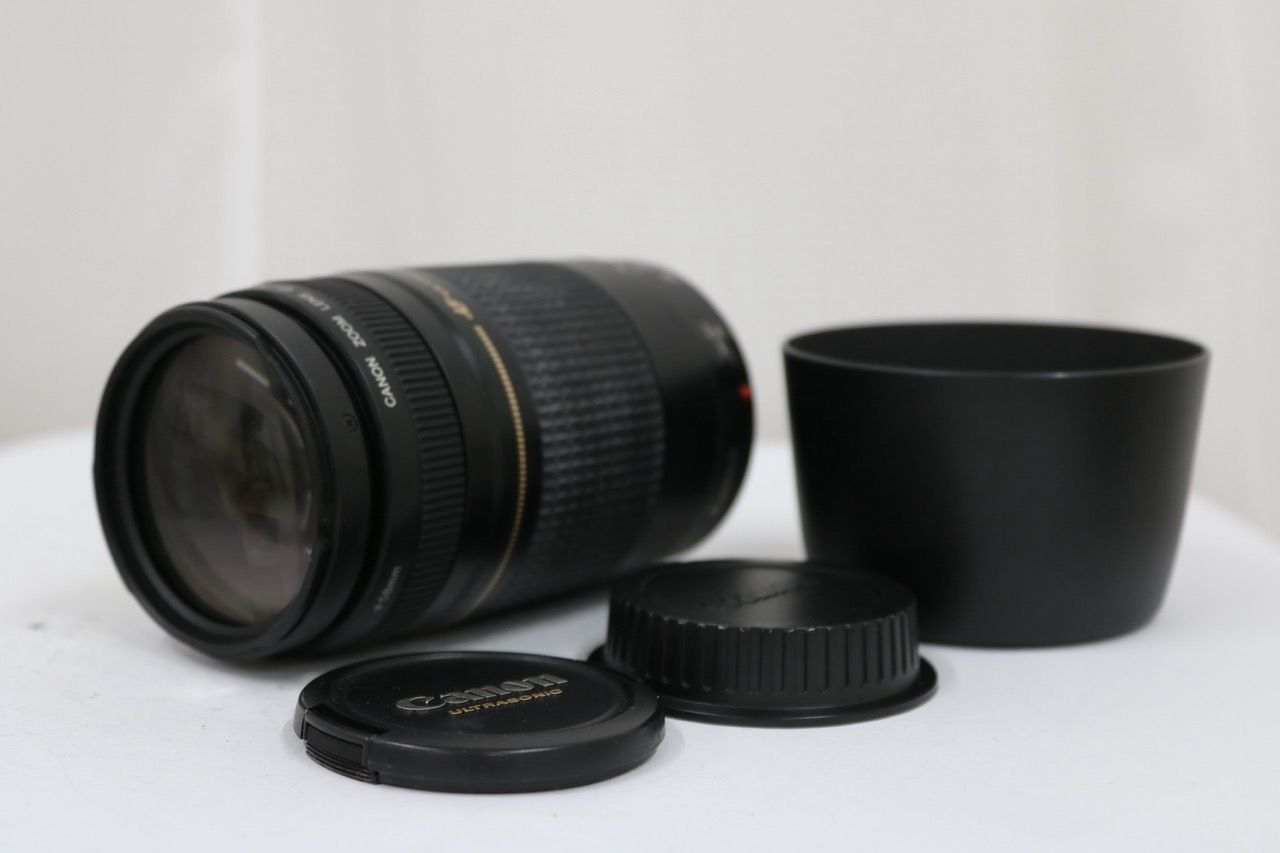 【返品保証】 キャノン Canon EF 75-300mm F4-5.6 II ULTRASONIC レンズ e11211
