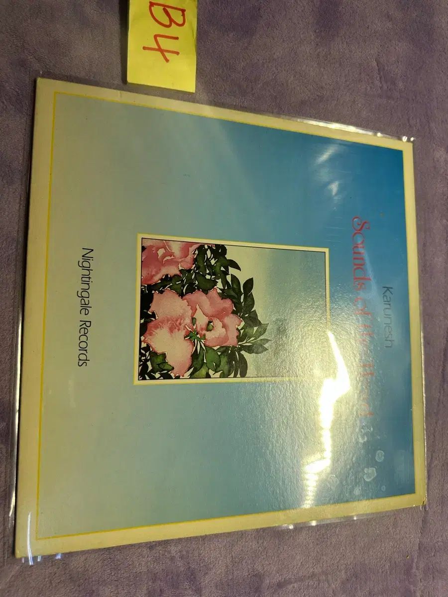 LP Karunesh Sounds of the Heart ニューエイジ