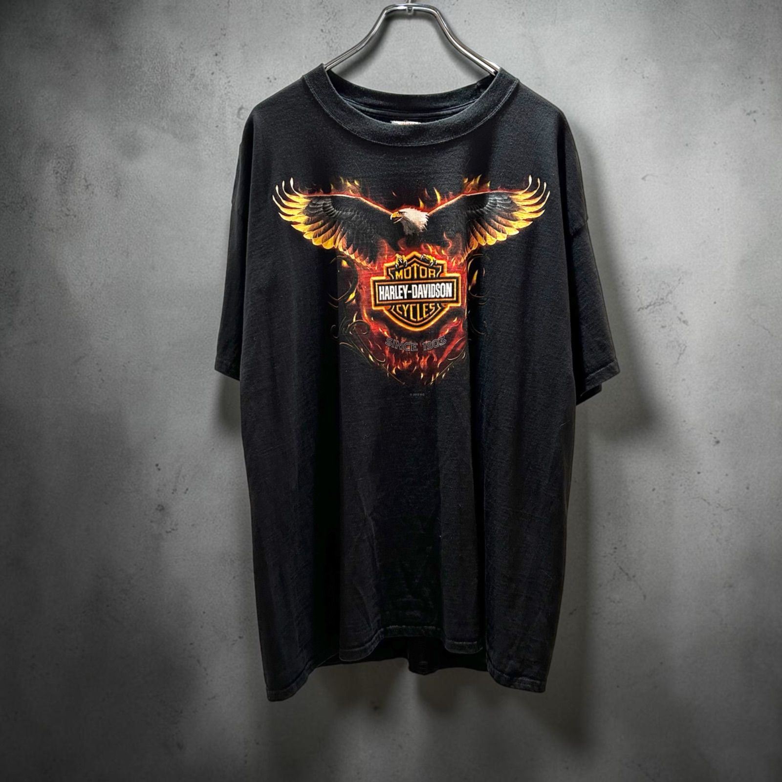HARLEY-DAVIDSON Hanes beefy T 2012年 Tシャツ