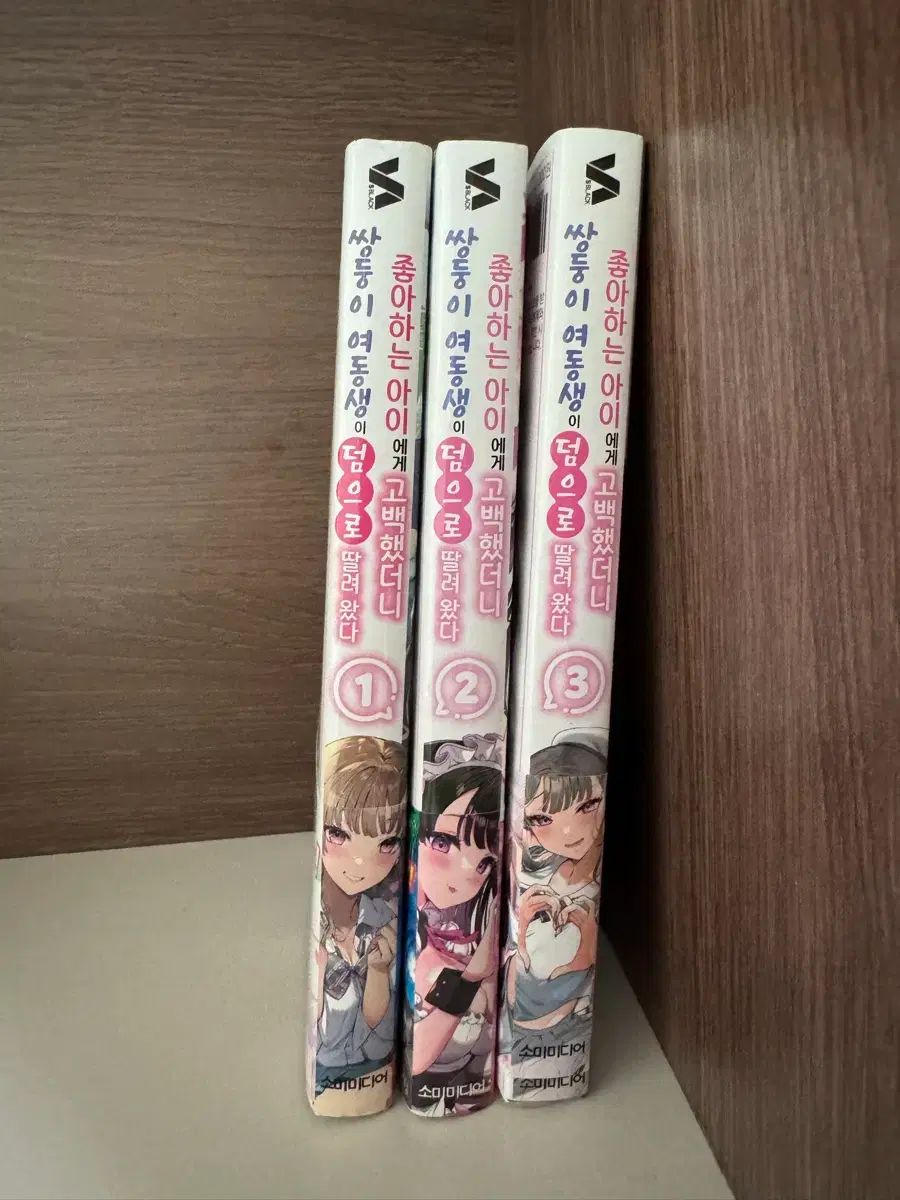 好きなアイに告白したら双子レディースがおまけ付き(※メルカリshop取引では対象外)初回版 1 3
