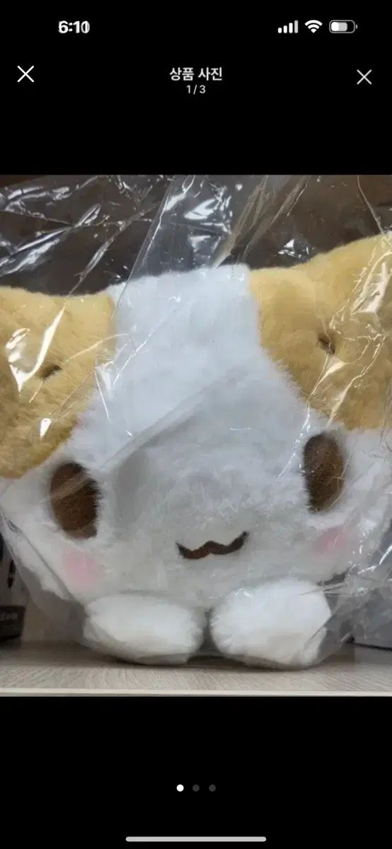 サンリオ マシュマロ 猫 ぬいぐるみ