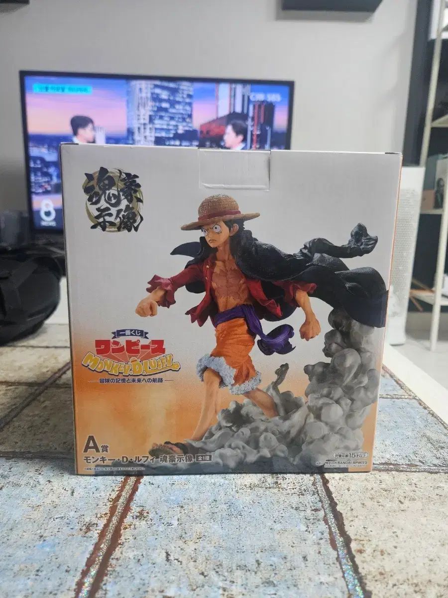 26年5月 新作 COOGI ONE PIECE