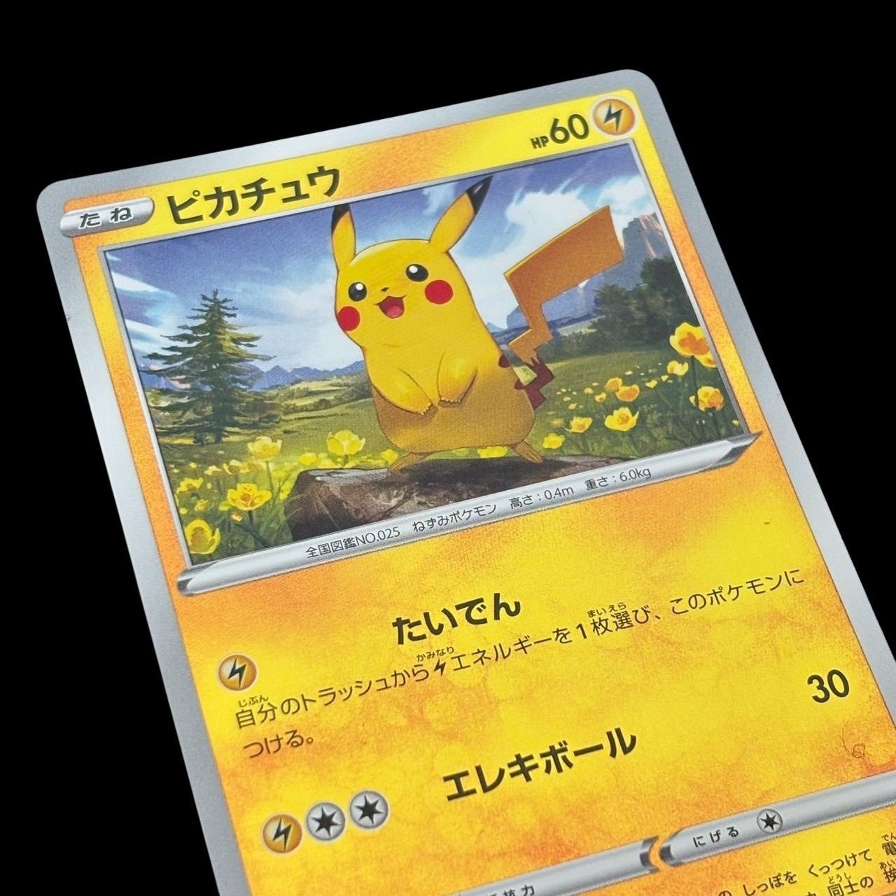 ポケモンカード ピカチュウV 2枚 ピカチュウ2種 4枚セット ポケカ