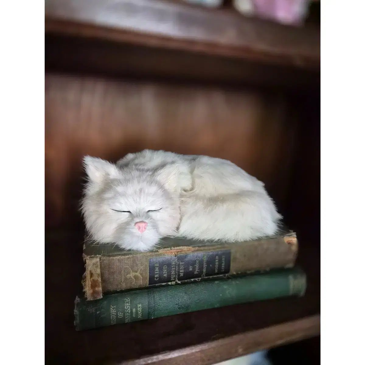 ヴィンテージ 下 猫 ぬいぐるみ