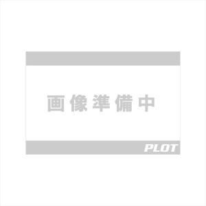 【新品・3営業日で発送】スペシャルパーツ武川 マルチリフレクターヘッドライト(タイプC)+ミニライトスクリーンセット モン 05-08-0491