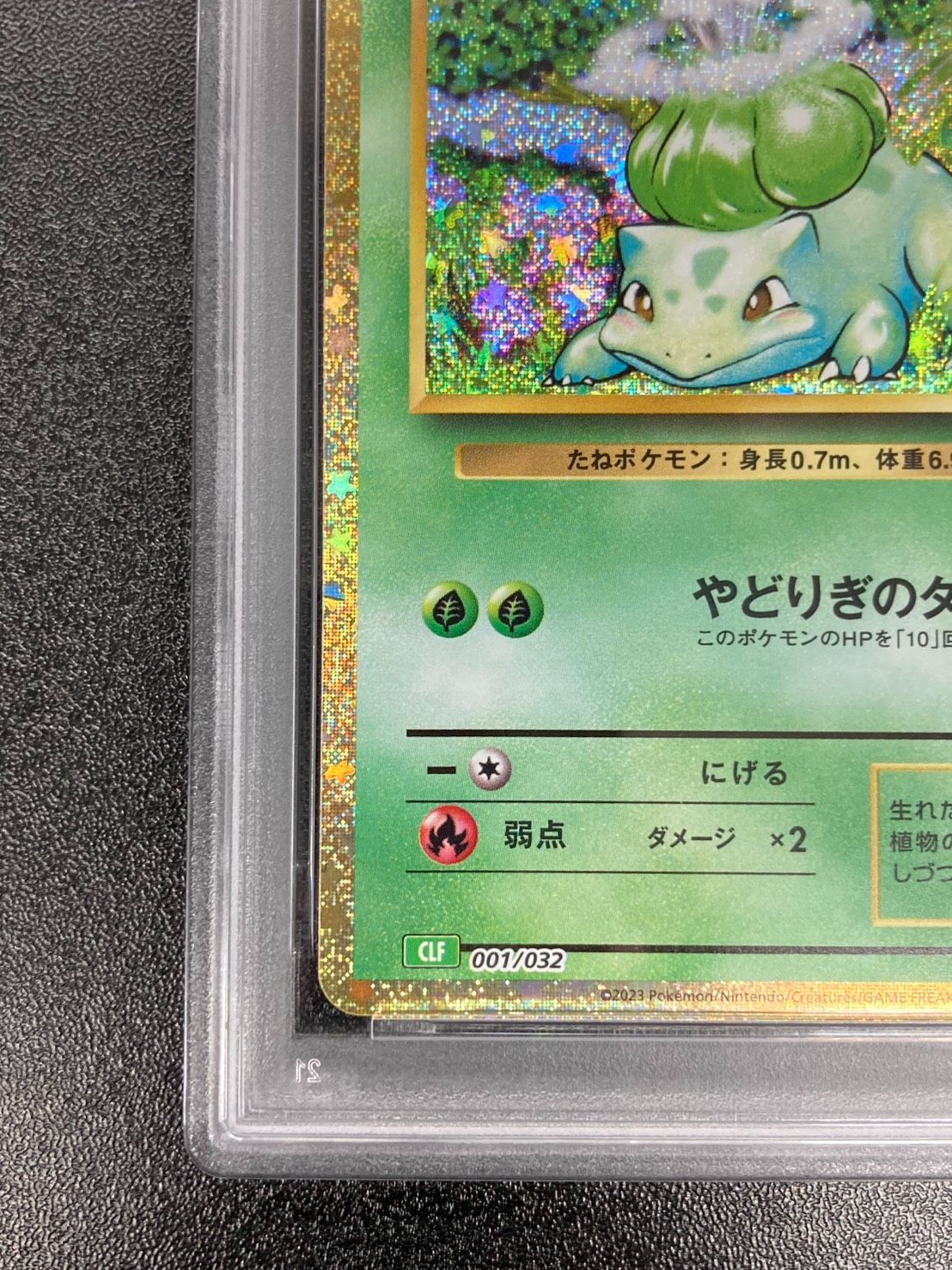 PSA10】フシギダネ CLF 001/032 ポケモンカードゲーム Classic - メルカリ