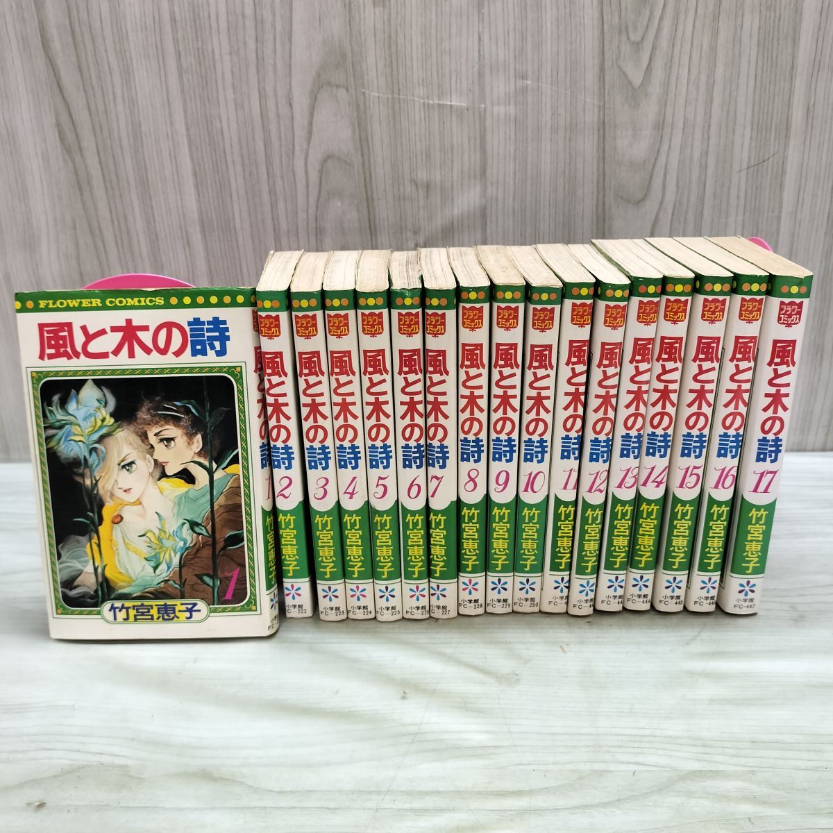 全17巻 揃い 風と木の詩 竹宮恵子 フラワーコミックス 010271 - メルカリ