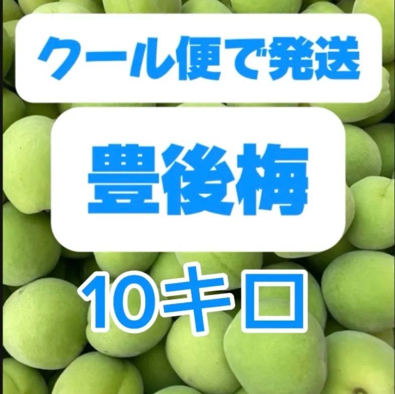 青梅梅，10キロ箱込み(クール便で発送)，6月下旬から発送予定