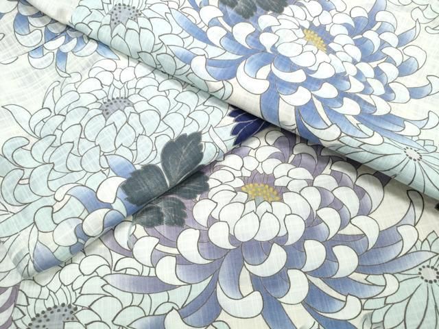 平和屋着物∴夏物　浴衣　菊文　綿　逸品　CABE9068ng