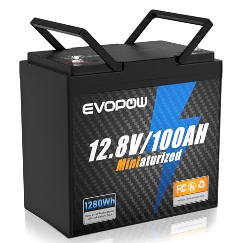 1280Wh リン酸鉄リチウムイオンバッテリー 1280W出力 12.8V 100Ah 蓄電池 半固体LiFePO4採用 10年長寿命 100AのBMS 4000-15000回サイクル BCIグループサイズ24 小型軽量 RV サブバッテリー d27a9d0e